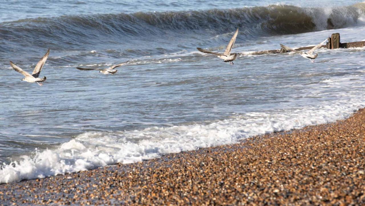 The Relais Cooden Beach And Spa Bexhill-on-Sea Εξωτερικό φωτογραφία